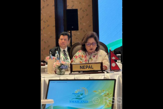 At BIMSTEC summit, FM Rana calls for regional unity, cooperation 