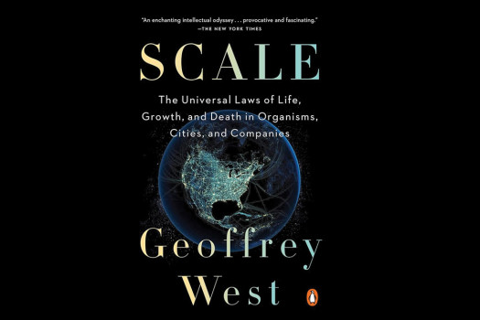 Scale: The Universal Laws of Life, Growth, and Death in Organisms, Cities, and Companies