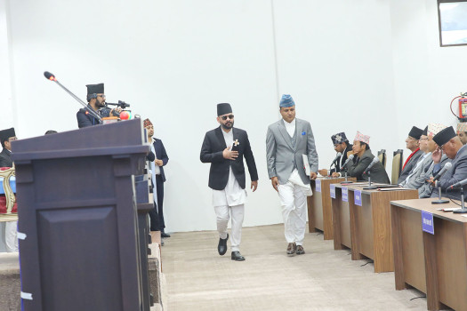 PM Shah to oversee Home Ministry