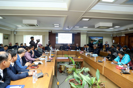 Govt revises budget downward by 14.06 percentage points in mid‑year review