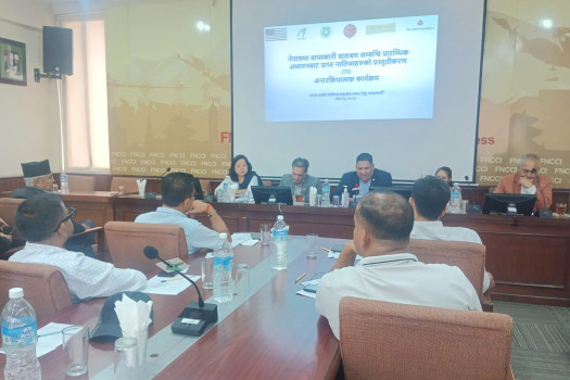 Stakeholders call for joint action as study shows poor economic conditions drive child labour in Nepal