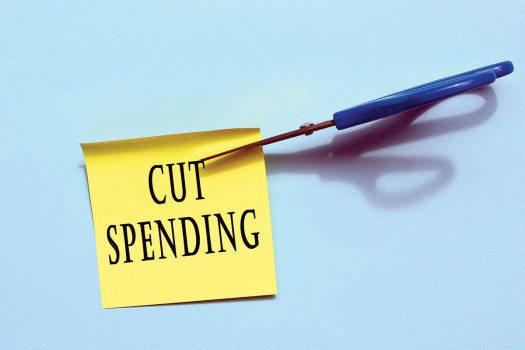 MID-TERM REVIEW OF THE BUDGET 2024/25
