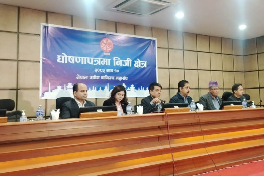 FNCCI urges political parties to include private sector protections in manifestos