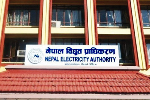 Nepal Electricity Authority to Employ Family Members of Gen-Z Martyrs