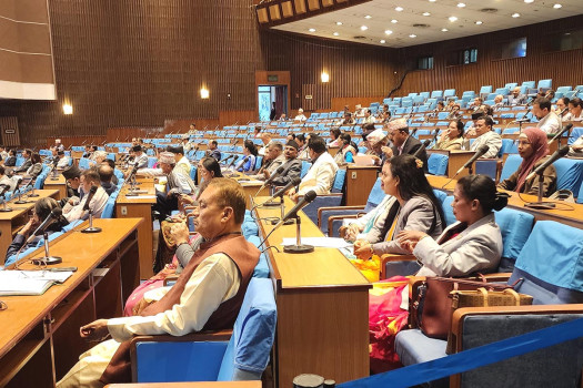 Lawmakers urge govt to address farmers’ demands, public service issues