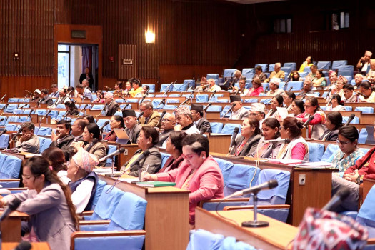 Finance Minister to present proposal on three bills at HoR meet