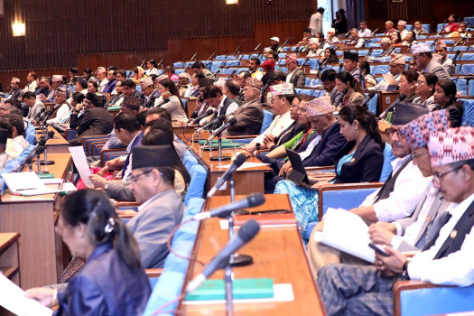 HoR session: Deliberations on Appropriation Bill, 2081 over