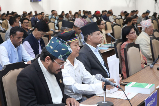 MPs raise concerns over dairy payments, road safety, public services in HoR session