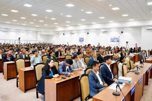 HoR: MPs urge push for electric stoves as alternative to LPG