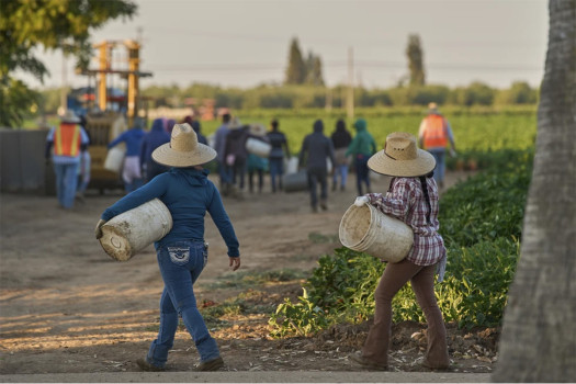 1.2 million immigrants are gone from the US labour force under Trump, preliminary data shows