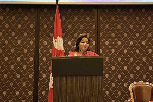 FM Rana urges UN support for Nepal's UNHRC membership