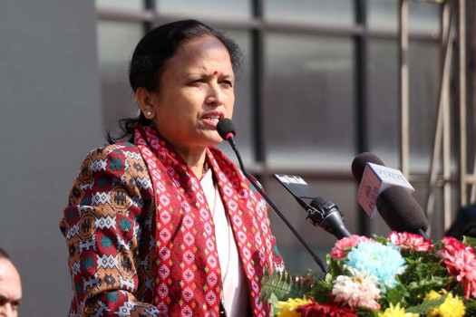 Minister Sharma urges private sector to prepare IT sector plan and projects