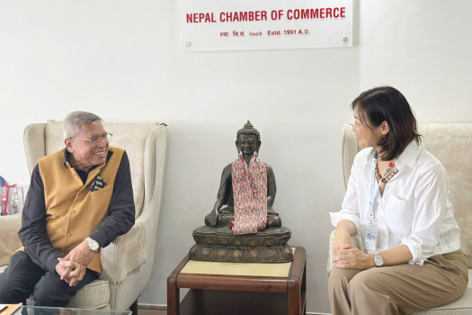 NCC, UNDP collaborate to address climate change impact on businesses