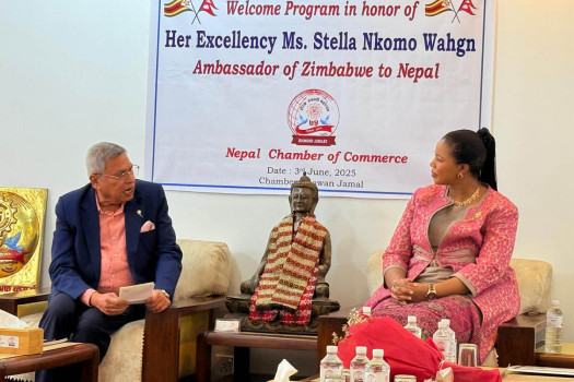 NCC holds discussion with Zimbabwe ambassador on trade facilitation, investment promotion