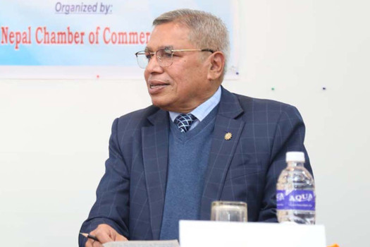 Budget is balanced despite implementation challenges: NCC