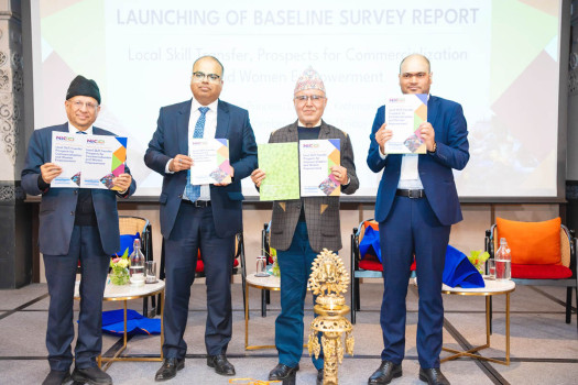 NICCI identifies Titaura as promising export, urges MSME support