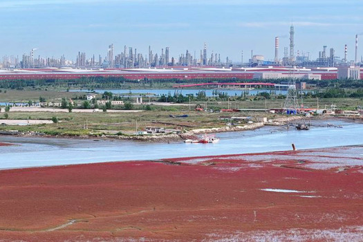 Across China: Oil city advances green transformation to bolster ecological conservation