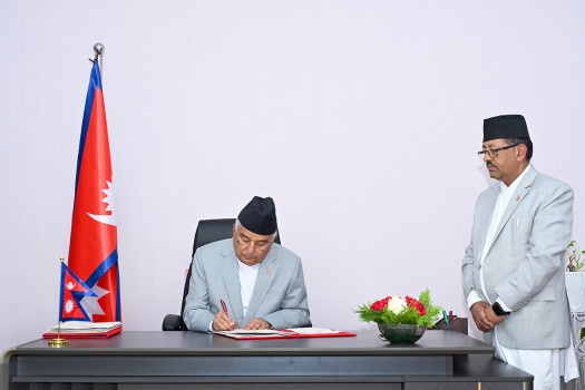 President issues Ordinance on Constitutional Council