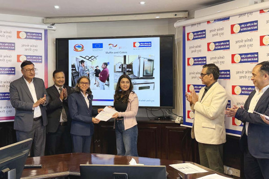 Over Rs 40m grant goes to 13 industries for energy efficiency