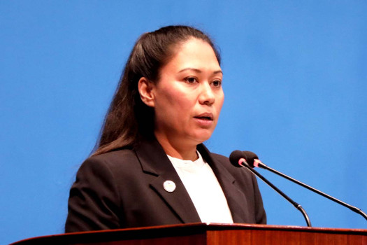 Efforts underway for structural reform in education sector: Minister Shrestha