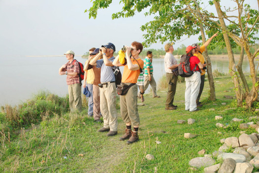 Koshi Tappu Wildlife Reserve records 11,603 visitors in FY 2024/25
