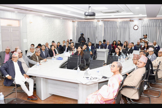 Dedicated web portal for Constitutional Bench launched