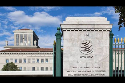 WTO says global goods trade growth exceeds expectations in Q1