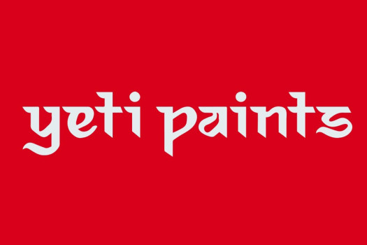 Yeti Paints donates Rs 1.11m to Prime Minister Disaster Relief Fund