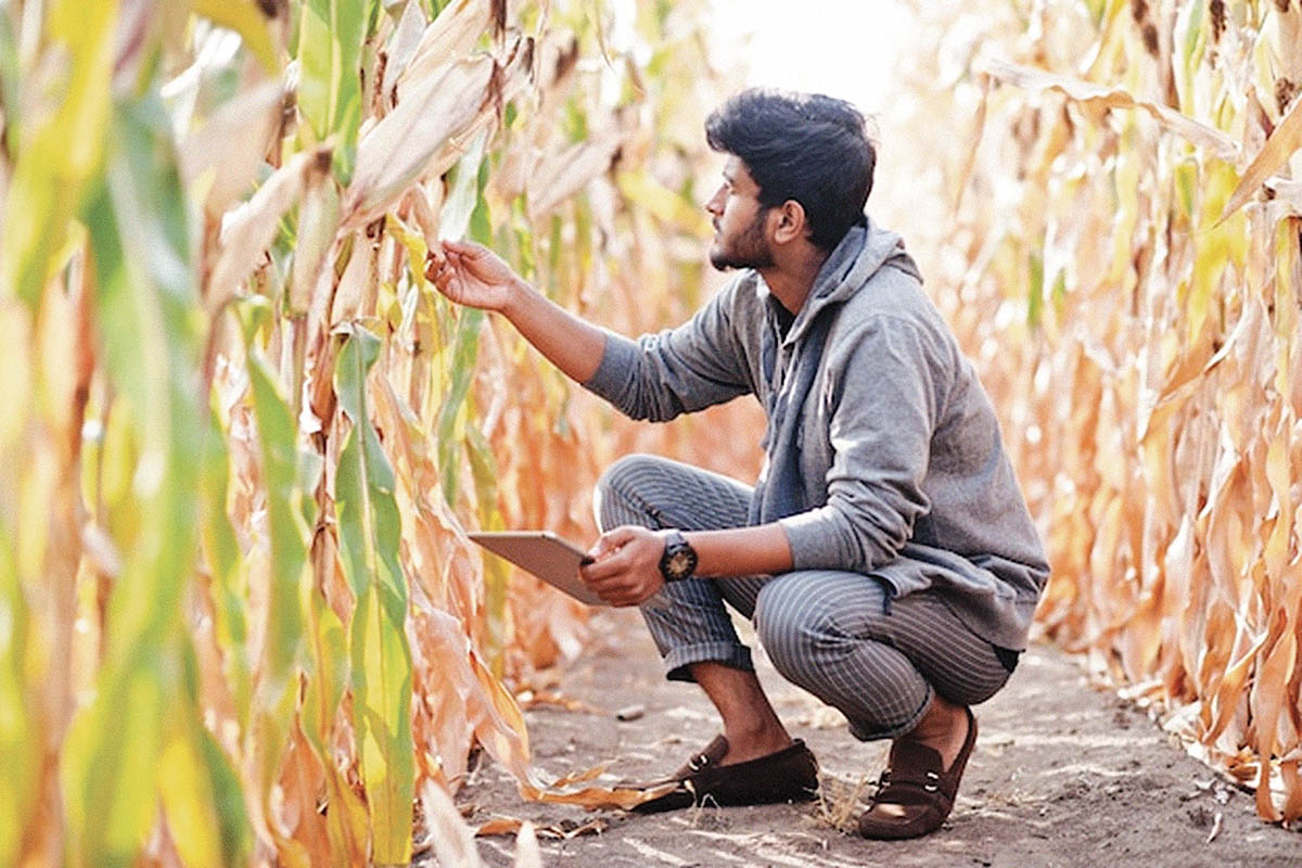 How Commodity Markets can Empower Nepal’s Agricultural Ecosystem