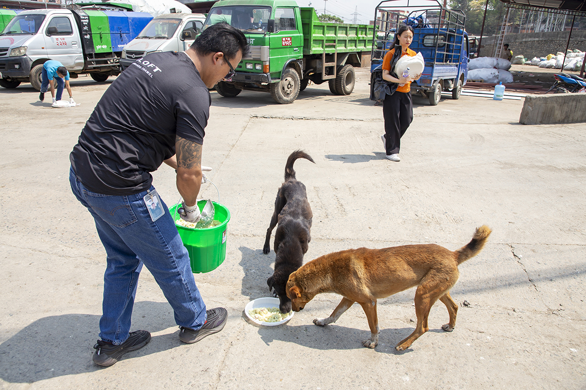 Aloft-Kathmandu-Thamel,-street-dog-feeding-programme-(1)-1747646681.jpg