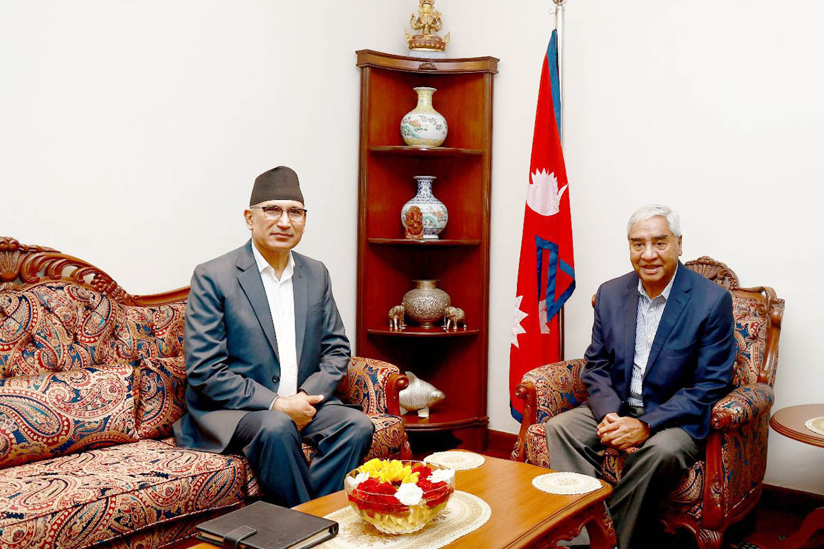 DPM Paudel discusses upcoming fiscal year budget with NC president Deuba