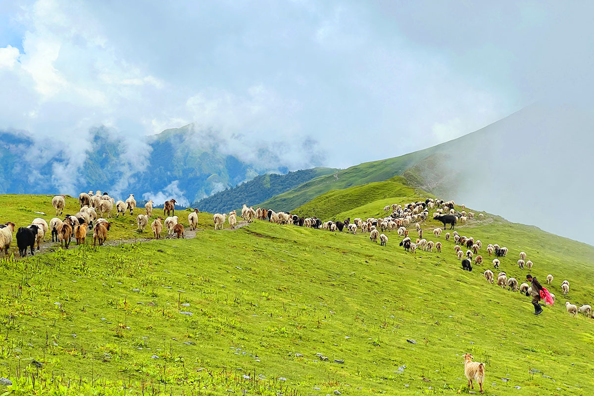 Number of tourists trekking to Bukipatan rises to 50 a day