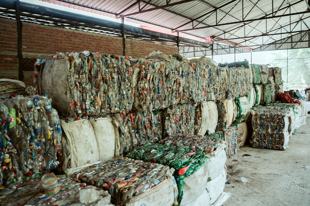 Waste Turns to Wealth: Byas Municipality Earns Rs 1.45 Million from Recycling Drive
