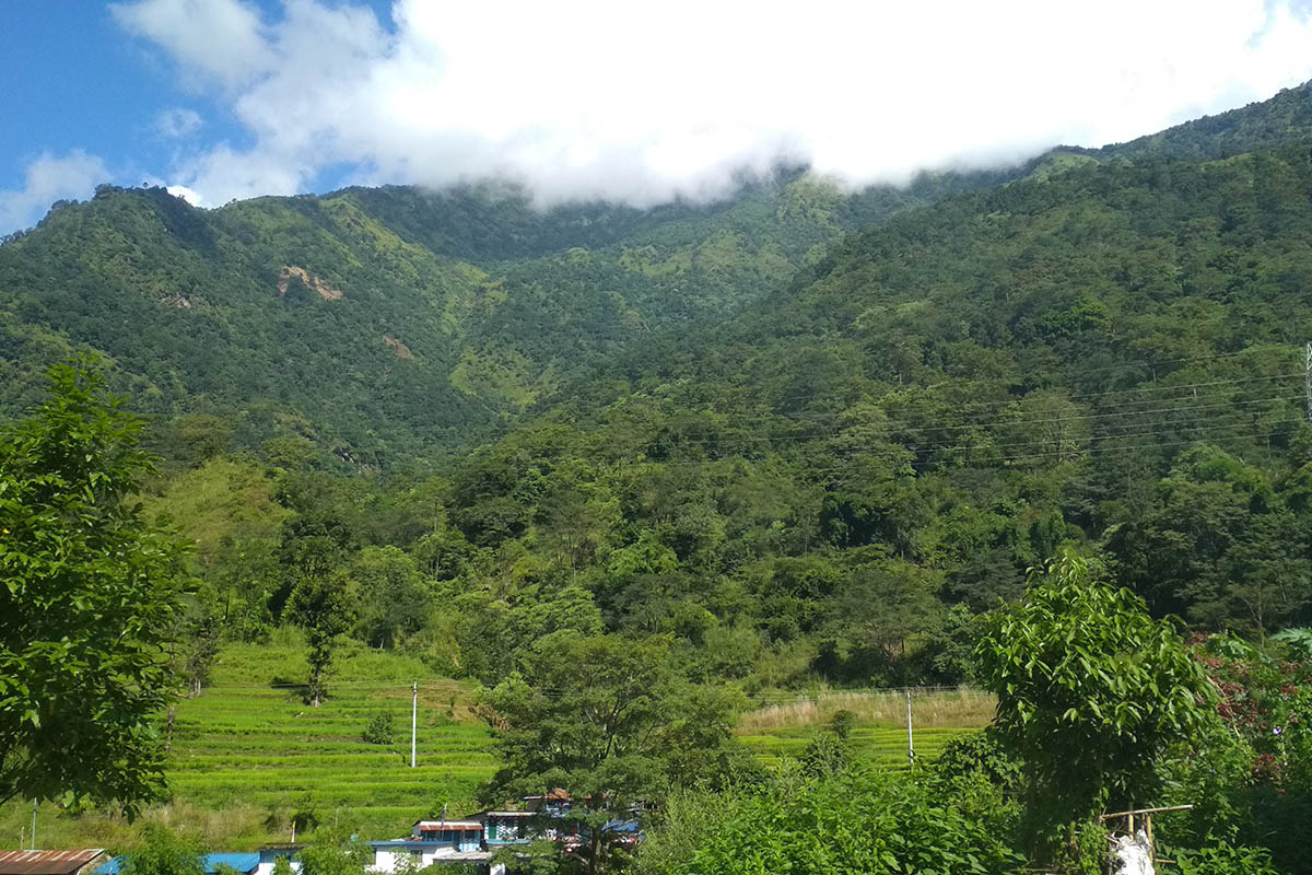 Nepal ranks second in South Asia for forest cover