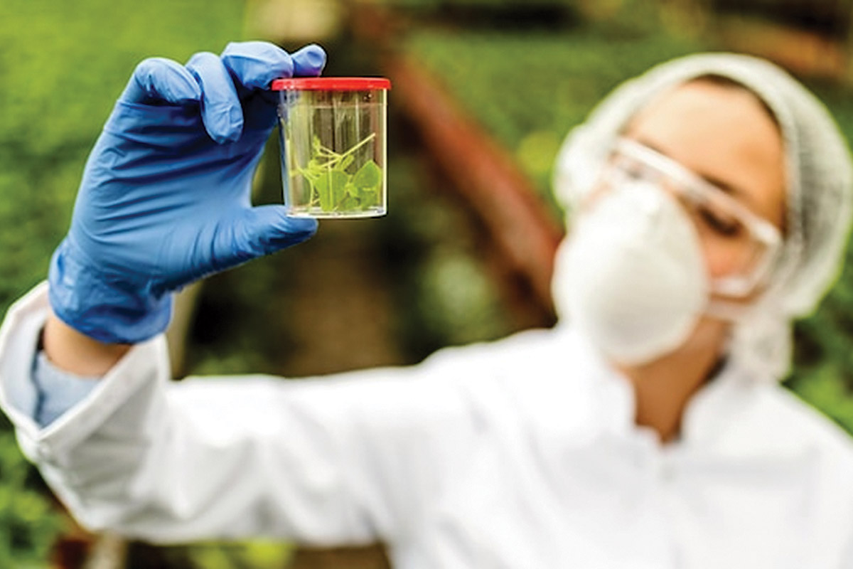 Why is the pesticide management regulation critical to public health