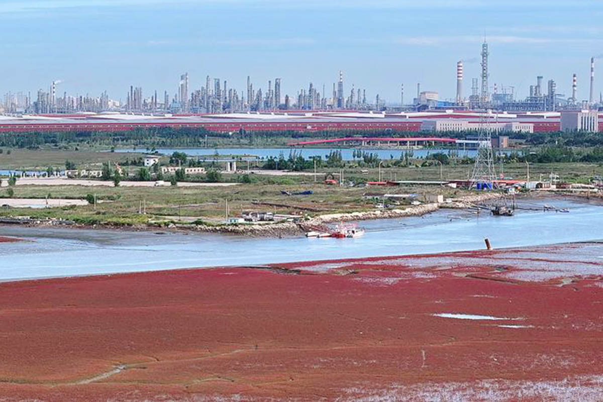 Across China: Oil city advances green transformation to bolster ecological conservation