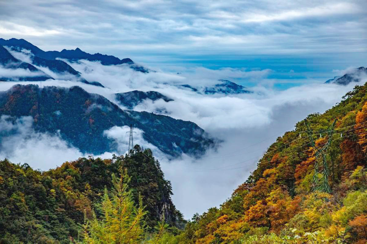Researchers propose central China as new 'global biodiversity hotspot'