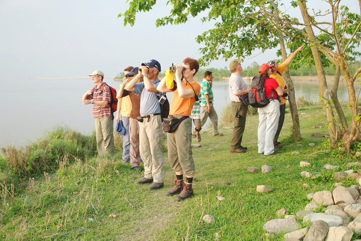 Koshi Tappu Wildlife Reserve records 11,603 visitors in FY 2024/25